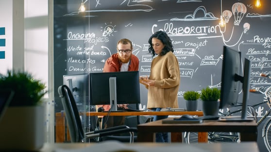 Female Designer Talks with Male Developer, They Look at Personal Computer Screen