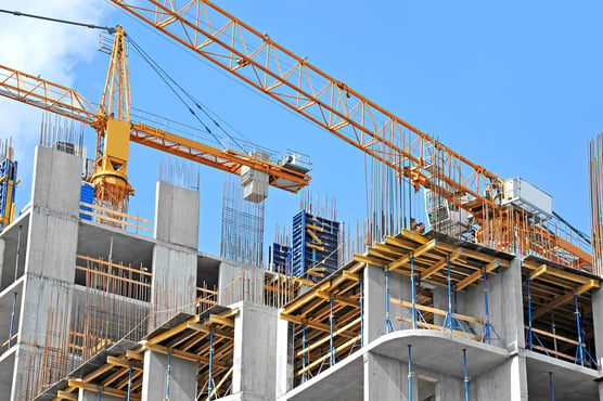 Entering New Markets: Holly Construction Realigns Its Digital Strategy With WSI