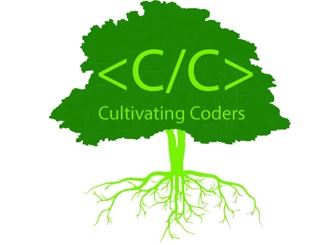 WSI Consultant Jukka Jumisko Improving New Mexico One Code At A Time