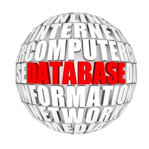Graphic of a globe with database written in red.