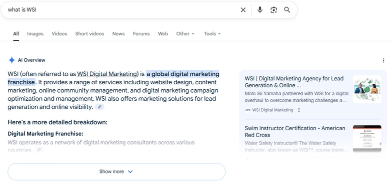 Example of Google search displaying AI overview on SEO with WSI digital marketing description.